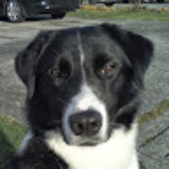 Meet your Posher, Jenna - Picture 1 of 1